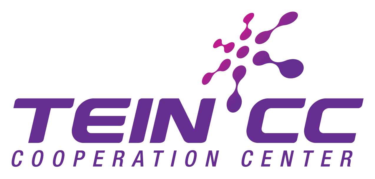 TEIN Logo